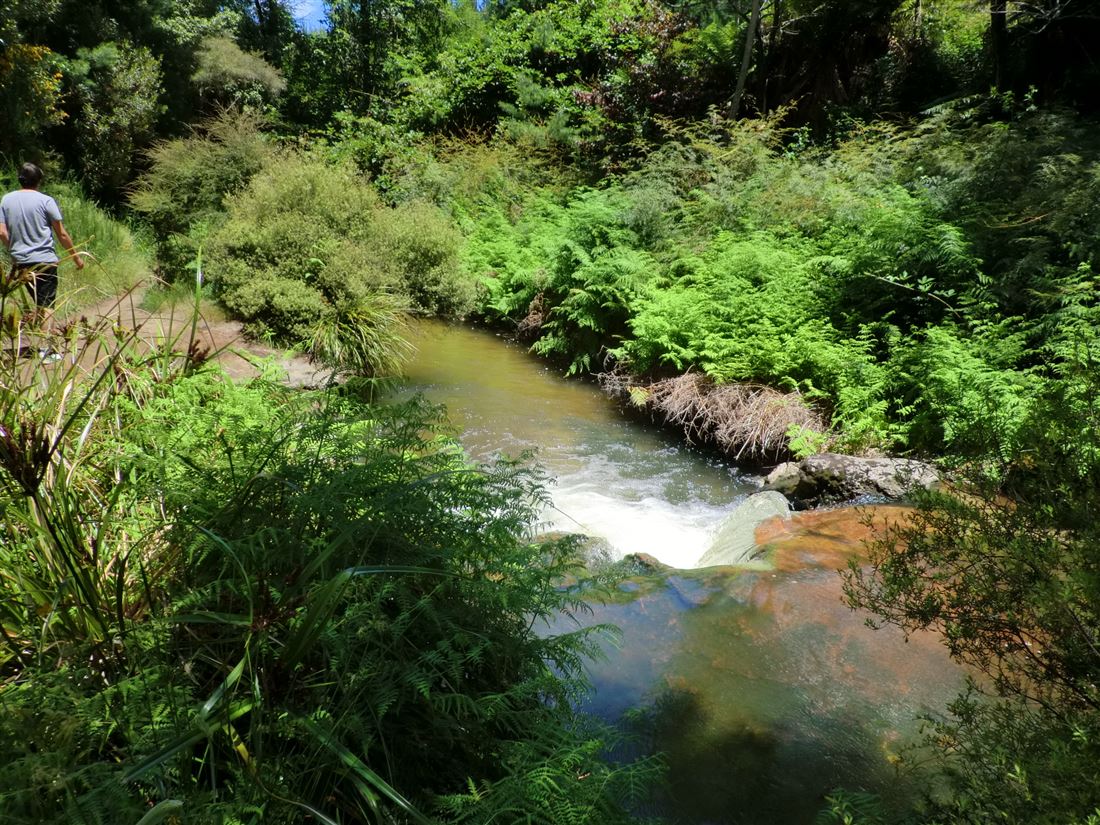ケロセンクリーク川温泉 - kerosene creek（ロトルア郊外）｜ニュージーランド北島の温泉・秘湯