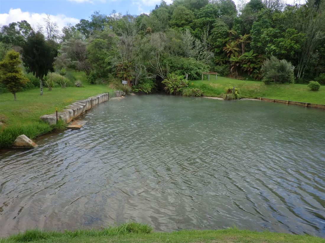 ソーダスプリングス（ロトルア郊外）｜ニュージーランド北島の温泉・秘湯